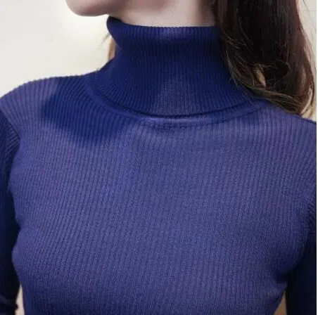 Autumn Winter Women Knitted Dress Turtleneck Sweater Dresses Lady Slim Bodycon Long Sleeve Bottoming Dress Vestidos PP021
