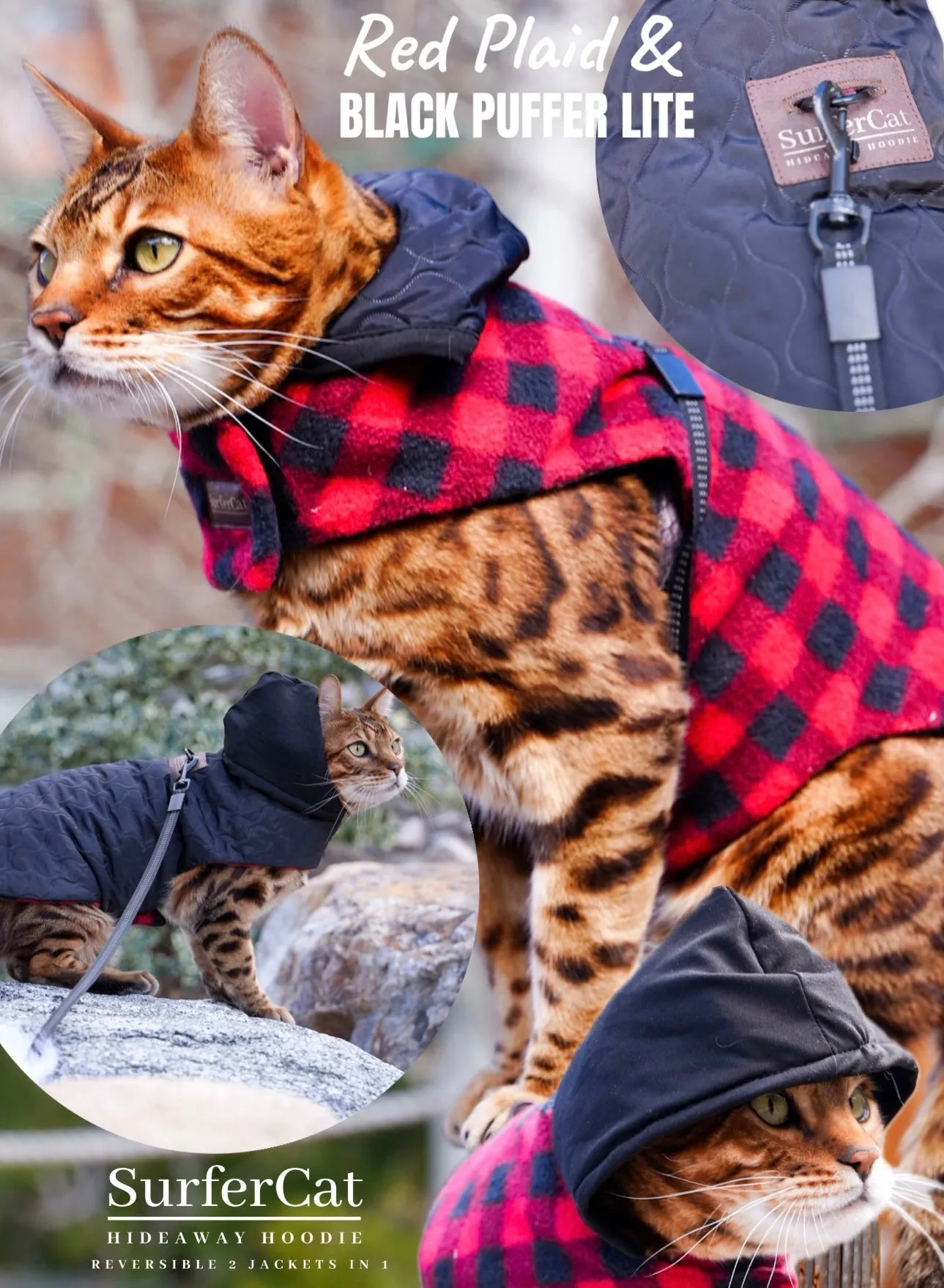 Cat Jacket Hideaway Hoodie Coat