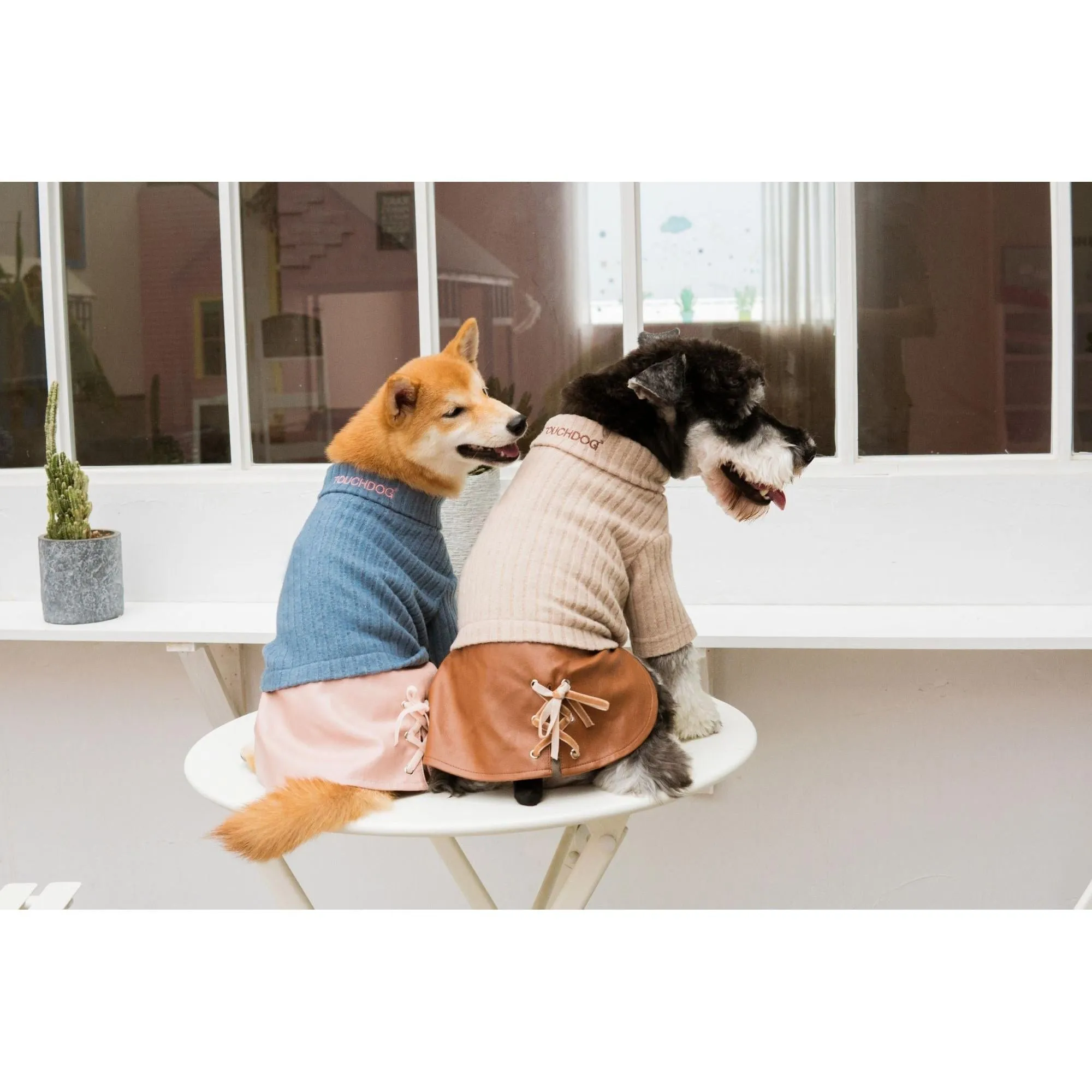Designer dog sweater and dress combo