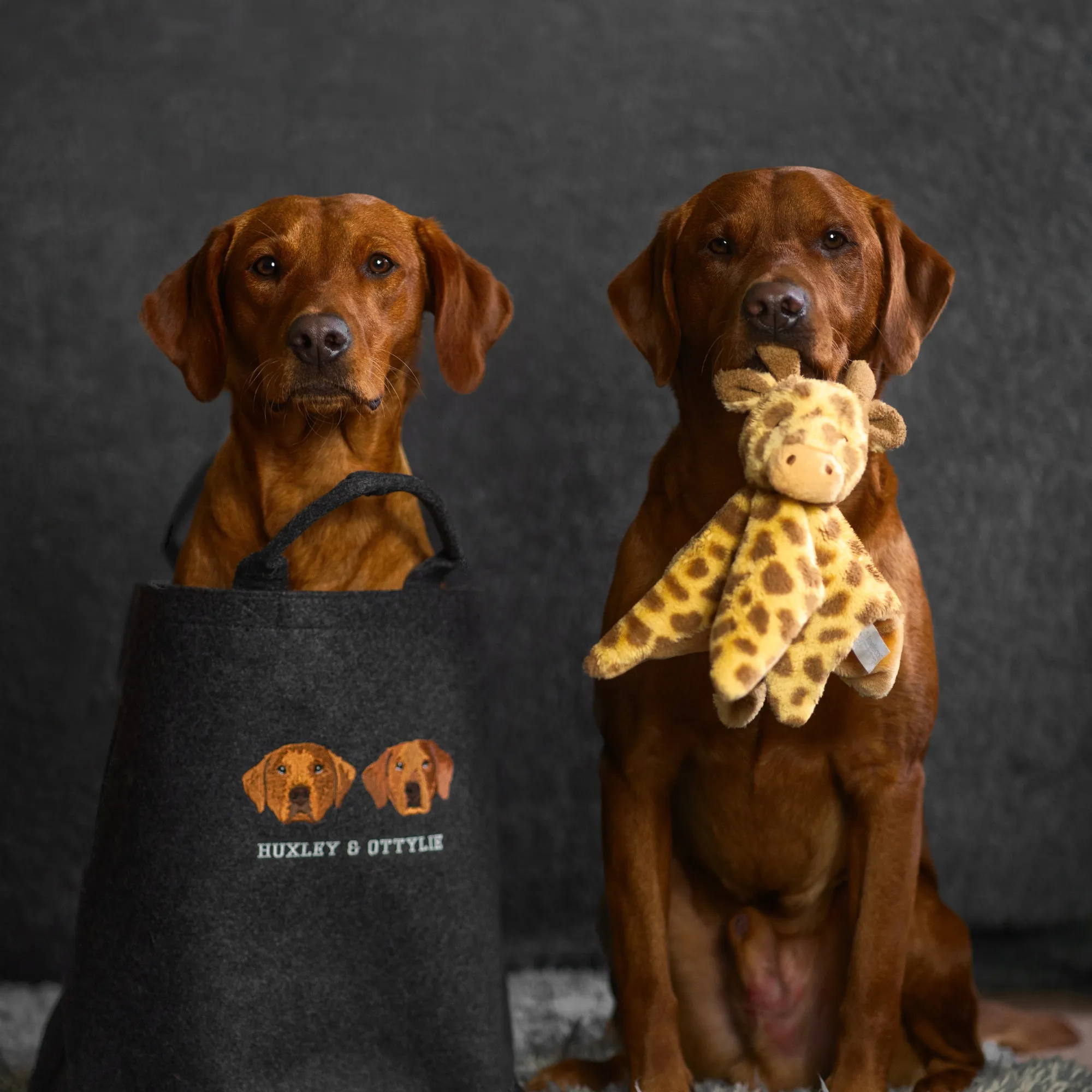Embroidered Custom Pet Portrait Felt Toy Basket