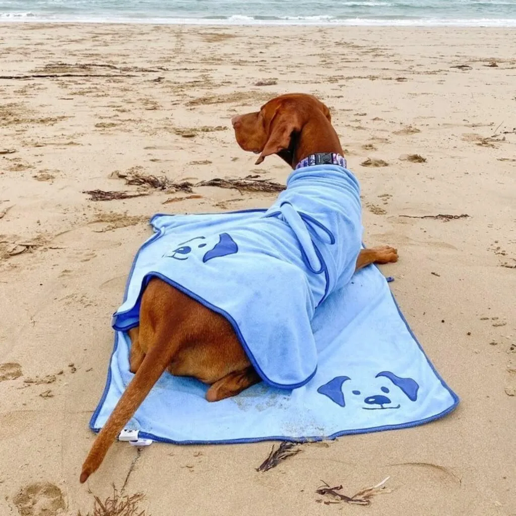 The Splish Splash Dog Drying Coat | Dazzling Blue