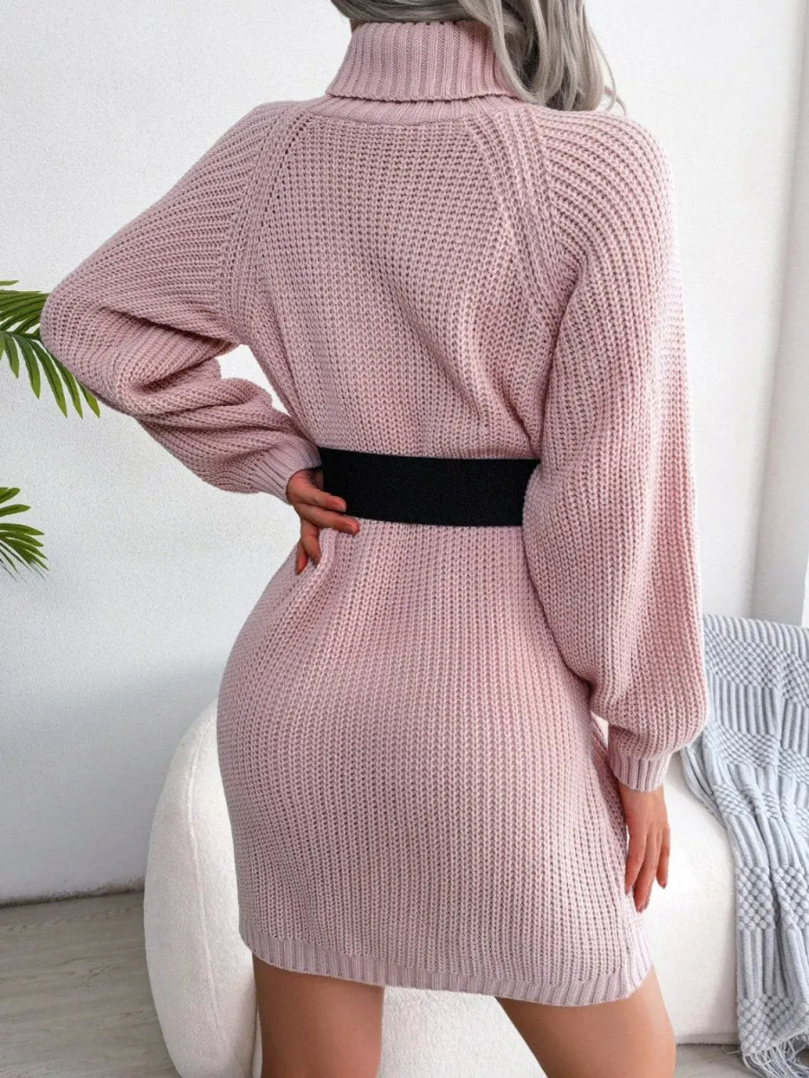 Winter Warmth Turtleneck Sweater Dress Mini