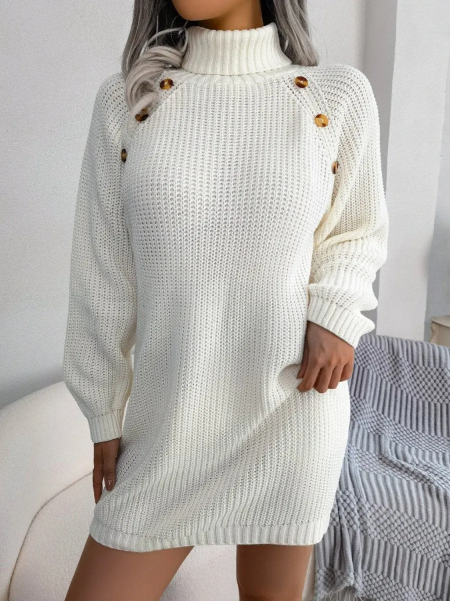 Winter Warmth Turtleneck Sweater Dress Mini
