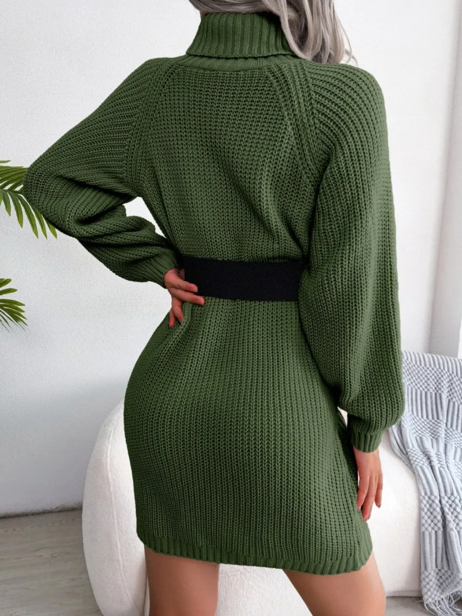 Winter Warmth Turtleneck Sweater Dress Mini