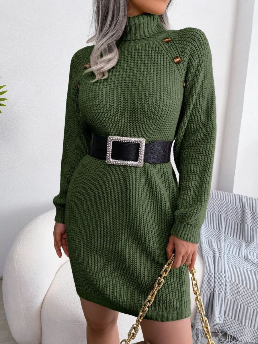 Winter Warmth Turtleneck Sweater Dress Mini