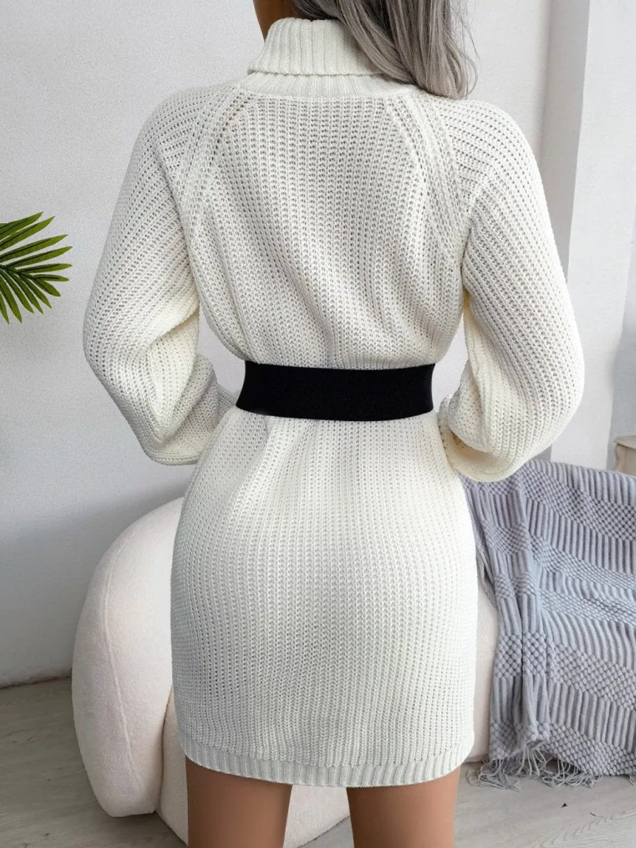 Winter Warmth Turtleneck Sweater Dress Mini